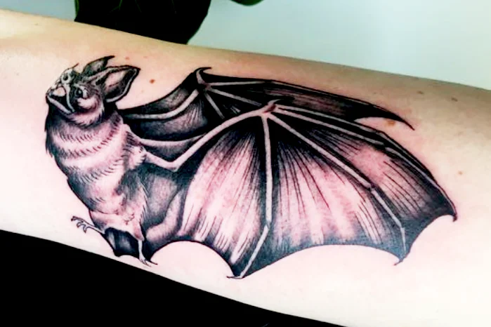 Vampire Bats tattoo meaning