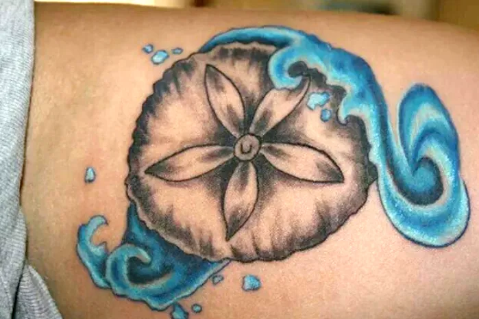 Sand Dollar with Waves meaning