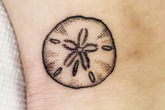 sand dollar tattoo meaning And Symbolism