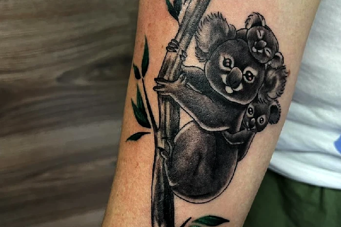koala tattoo meaning & Symbolism